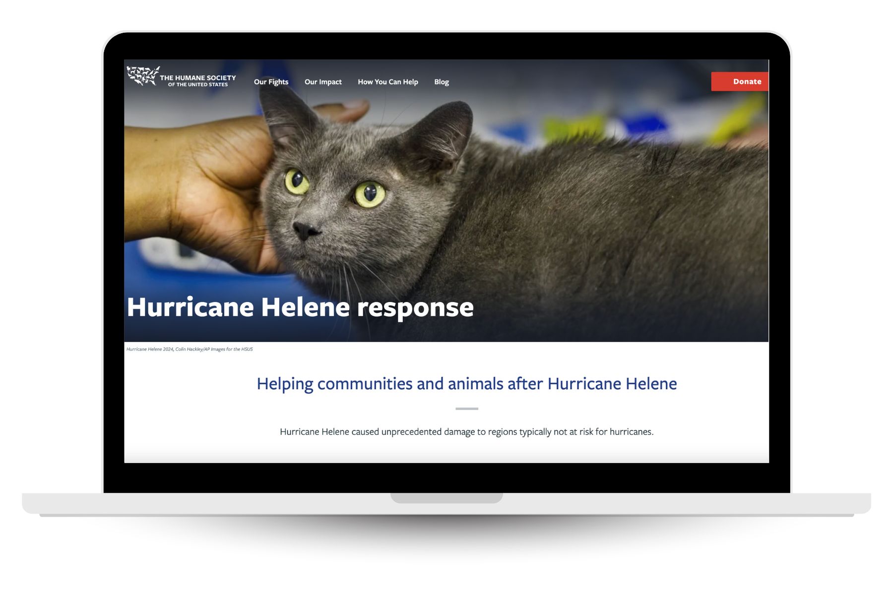 The-Humane-Society Humane Society website home page as a way to donate for people who want to help after Hurricane Helene.